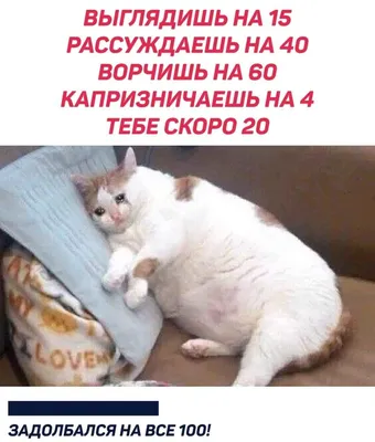 Жизнь боль. : r/Pikabu