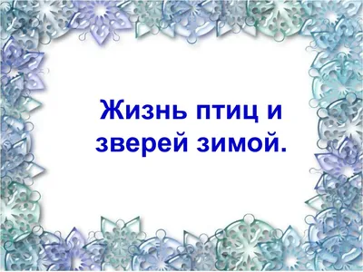 Орнитолог рассказал, как правильно подкармливать птиц зимой - Российская  газета