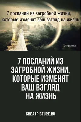 40 смешных до слез картинок с надписями