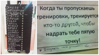 Пин от пользователя Злой Лютик на доске Приколы~ жизненные и не очень в  2023 г | Новые цитаты, Смешно, Написание книги