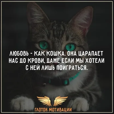 Какие выводы ты сделала повзрослев? - Одной любви недостаточно для  построения отношений; - В какой то момент придется перестать винить во… |  Instagram