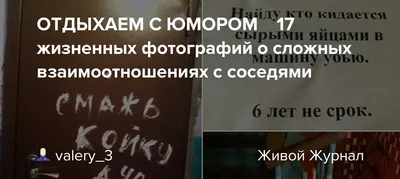 Юмор психологов»: жизненные приколы, которые зарядят позитивом | Психолог в  деле | Дзен