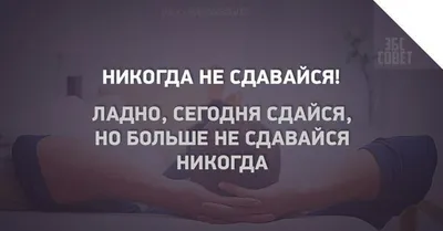 Жизнеутверждающие фотообои 3д на стену в просторный зал Купить в Москве |  Магазин Узоры на Стене