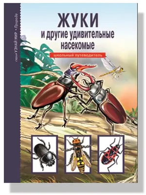 Жуки и другие удивительные насекомые. Детская энциклопедия. Издательство  Тимошка 23150703 купить в интернет-магазине Wildberries