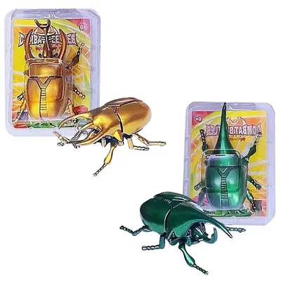 жук раскраски для детей на тему жуки раскраски с жуками