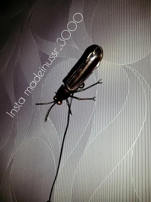 Beetle Insect png download - 600*600 - Free Transparent Beetle png  Download. - CleanPNG / KissPNG