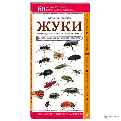 Астрахань | Записки астраханского натуралиста. Жужелицы, усачи и другие жуки  - БезФормата