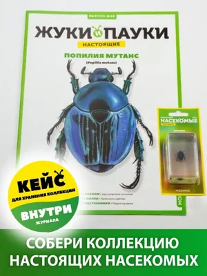 Жуки и пауки, Выпуск №10, Попилия + Кейс MODIMIO 49408013 купить за 516 ₽ в  интернет-магазине Wildberries