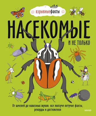 Жук в помощь: как насекомые выручают человека | Вокруг Света