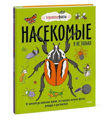 Милые жуки детский рисунок насекомых, летающих бабочек и ребенка божья  коровка. набор цветочных бабочек, насекомых и жуков | Премиум векторы