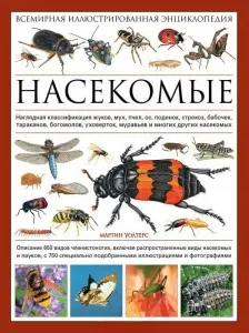 Жук-носорог: Весит 100 граммов, а поднимает 8 килограмм. Бронированный  биотитан мира насекомых | Пикабу