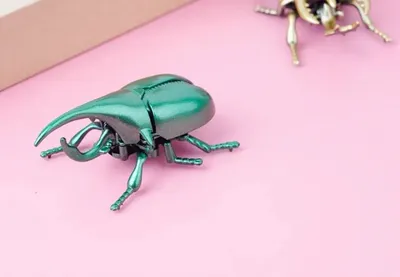 Бесшовный узор реалистичных жуков-насекомых, изолированных на белом фоне.  Акварель, нарисованная от руки иллюстрация животных и жуков - Ozero -  российский фотосток