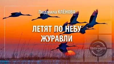 Конкурс рисунков «БЕЛЫЕ ЖУРАВЛИ В СИНЕМ НЕБЕ» | "Центр общего и  дополнительного образования "Перспектива"