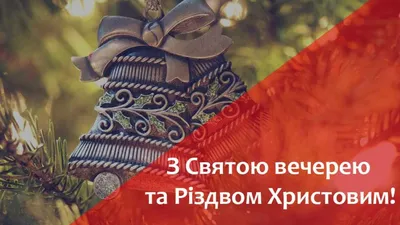 Привітання зі Святвечором 24 грудня 2023 — листівки, картинки, вірші та  відео - Телеграф