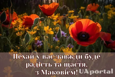 Лучшие поздравления с Маковием-2023 – красивые картинки с Медовым Спасом на  украинском языке