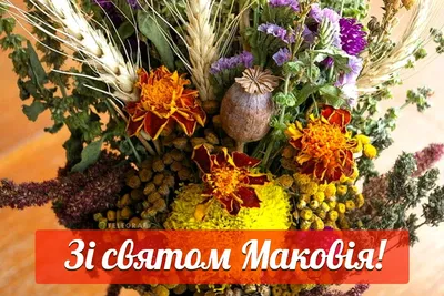 Сьогодні відзначається свято Маковія або Медовий Спас » Профспілка  працівників освіти і науки України