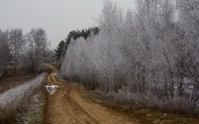 Зима без снега» — создано в Шедевруме