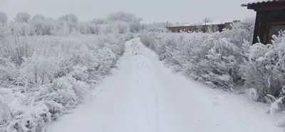 Черно-белые краски зимнего города | Мама миллионера | Дзен