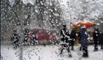 Зимний дождь | Пикабу