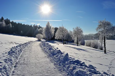 Солнечно. Зима | Снег | Дома | Солнце | Зимняя дорога | Winter mornings,  Norway, Winter pictures