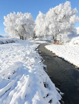 Зимнее солнце / вода :: лед :: снег :: солнце :: зима :: Природа (красивые  фото природы: моря, озера, леса) / смешные картинки и другие приколы:  комиксы, гиф анимация, видео, лучший интеллектуальный юмор.