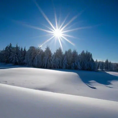Скачать обои небо, мороз, солнце, елки, снег разрешение 1280x800 #149781