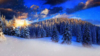 Обои на монитор | Красивые | зима, красивые, лес, небо, природа