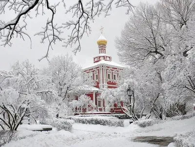 В Минске наконец-то зима. Красивые фото белоснежного города