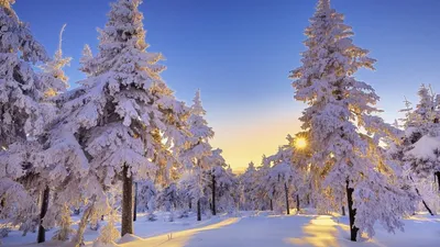 Зимняя сказка: красивые фото и обои на рабочий стол