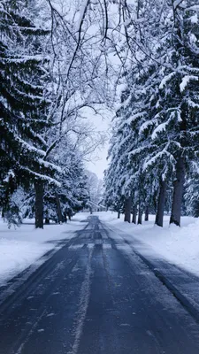 Зима: красивые картинки на телефон. 100 изображений