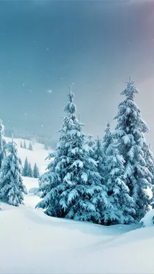Красивые картинки зимние на телефон (36 фото) - VJOY | Зимние сцены, Зимние  картинки, Пейзажи