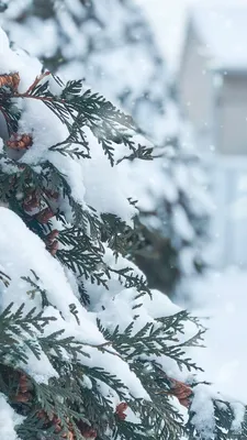 Зимний новогодний пейзаж в каплях света | Обои для телефона