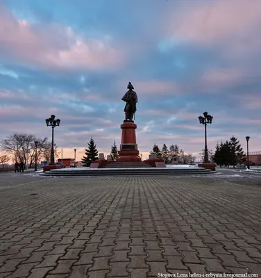 зима открытки стоковое фото. изображение насчитывающей пуща - 13217152