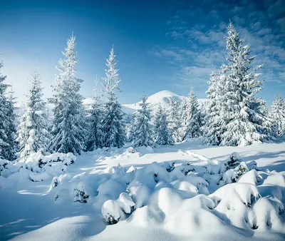 Зима пейзаж картинки