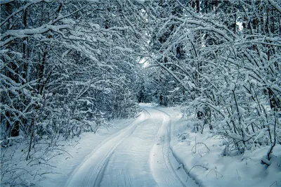 Мультяшная зима - 69 фото