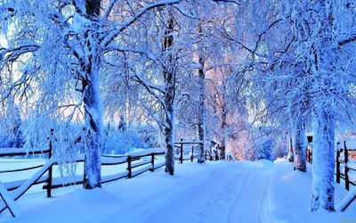 Картинка природа, красиво, зима, мороз, погода, зимняя пора, снег, закат,  тропа, дорожка, деревья 1920x1200 скачать обои на рабочий стол бесплатно,  фото 146701