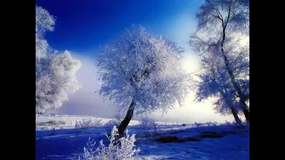 Картинки Зима Природа снега сезон года
