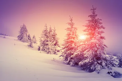 Зима природа картинки