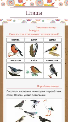 Водонагреватель для птиц в ванную комнату, Универсальный Прочный  водонагреватель для домашних животных, устойчивый к морозу, с подогревом |  AliExpress