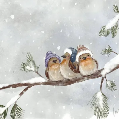 Птицы зимой - 60 фото: смотреть онлайн