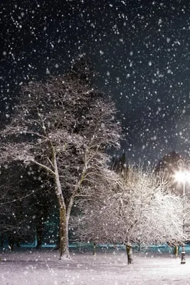 Зима снег идет 57 картинок