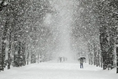 Пейзаж, зима, снег идёт, …» — создано в Шедевруме