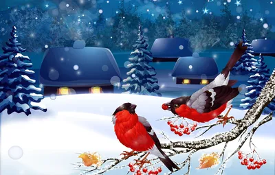 Обои зима, снег, мороз, дерево, замораживание - картинка на рабочий стол и  фото бесплатно
