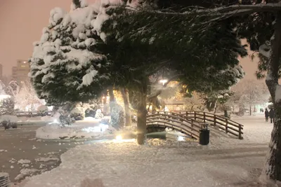 Обои Аврора, снег, природа, зима, синий на телефон Android, 1080x1920  картинки и фото бесплатно