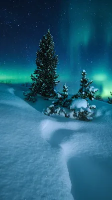 обои : Зима, снег, природа, Швейцария, Деревьями, Paysage 3500x2312 -  Wormthroat - 1967709 - красивые картинки - WallHere