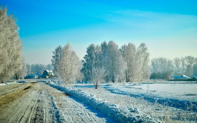 Картинка зима, снег, деревня, дорога, деревья, дома, поле, поляна, солнце  2560x1600 скачать обои на рабочий стол бесплатно, фото 371562