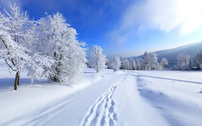 Обои зима, снег, снежинки, фон, доски, Christmas, wood, winter, background,  snow, snowflakes картинки на рабочий стол, раздел текстуры - скачать