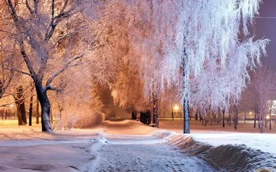 Обои зима, снег, снежинки, snowflakes картинки на рабочий стол, раздел  макро - скачать