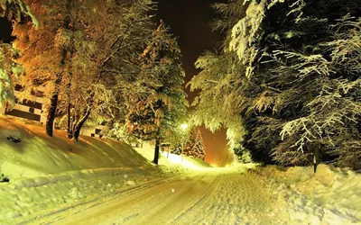 Картинки зима, снег, снеговик, елка - обои 1920x1080, картинка №78514