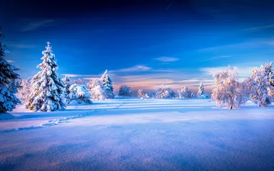Картинка Зима снег мороз » Зима картинки скачать бесплатно (289 фото) -  Картинки 24 » Картинки 24 - скачать картинки бесплатно